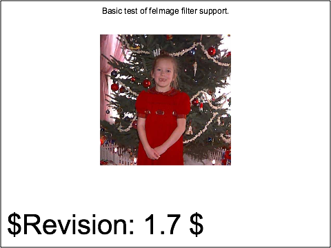 raster image of filters-image-01-b